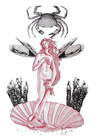 A venus do marisco - Pablo Gallo