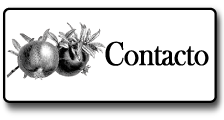 Contacto