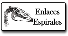 Enlaces Espirales